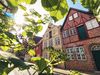 Sonne strahlt durch grüne Blätter auf historische Backsteinfassaden in der Lüneburger Altstadt.
