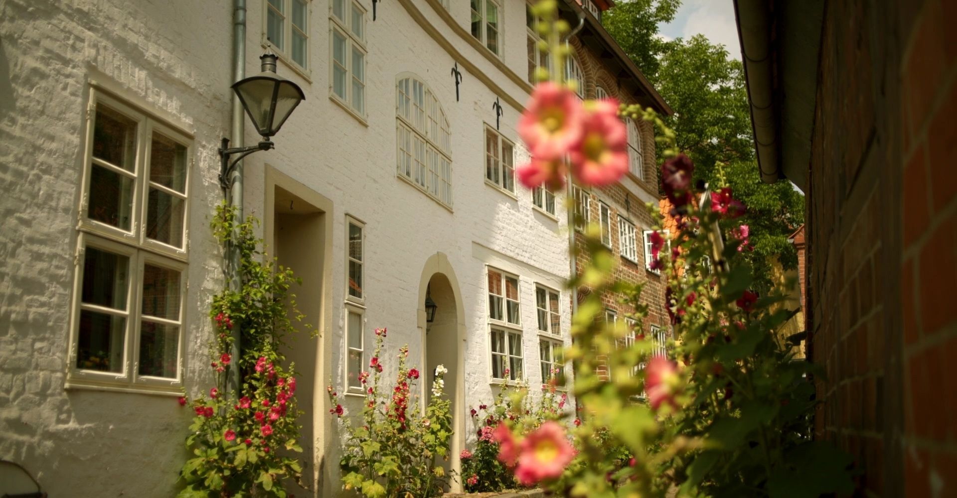 Eine Gasse der Altstadt Lüneburgs. An den Hausfassaden blühen rosa und rote Blumen.