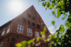 Historisches Brömsehaus mit Giebel und weißen Fenstern hinter grünen Blättern.