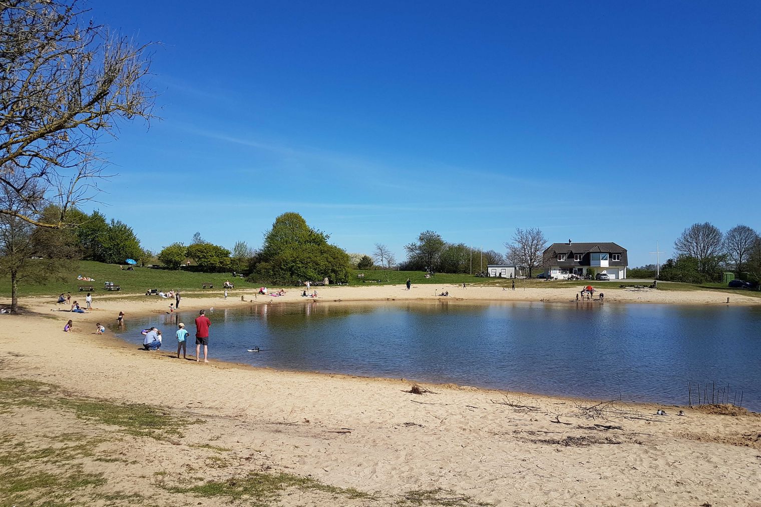 Sommertag am Inselsee Scharnebeck, nahe Lüneburgs. Ein See umring von Sand und Wiese. Der Himmel ist blau.